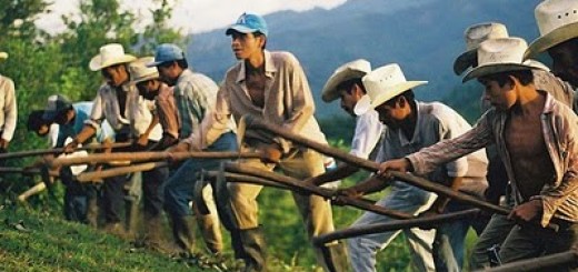 campesinos colombianos