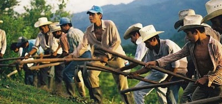 campesinos colombianos