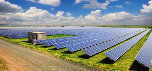 solar-farm-business